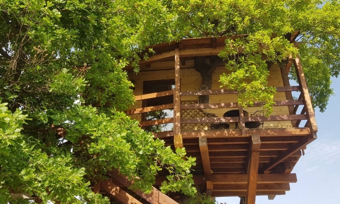 Torino di Sangro House | Casa Sull' Albero Treehouse Costa dei Trabocchi