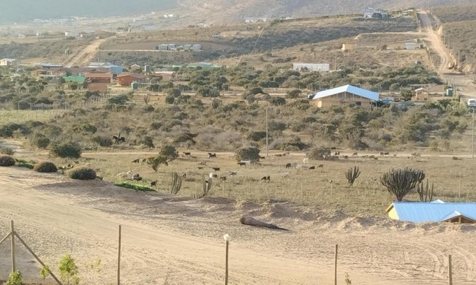 Coquimbo House | Cabaña