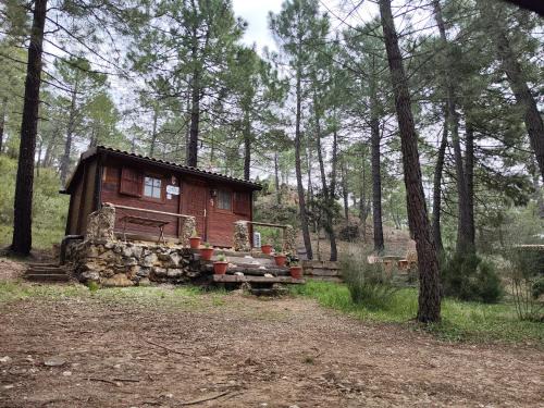 Riopar House | Cabaña los chorros