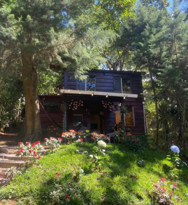 Los Naranjos Ski Chalet | Cabaña privada en Los Naranjos