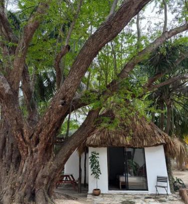 Celestun Hotel | Cabañas Camping Ria Celestun