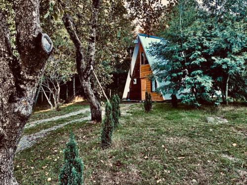 Loncoche Ski Chalet | Cabañas Los Avellanos