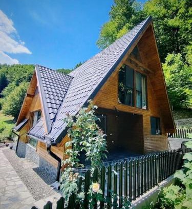 Brezoi Ski Chalet | Cabana A Brezoi