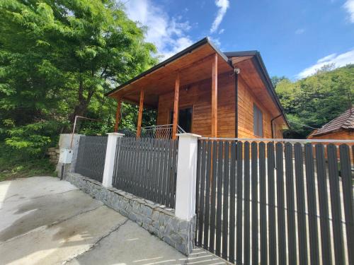 Calimanesti House | Cabana Beta