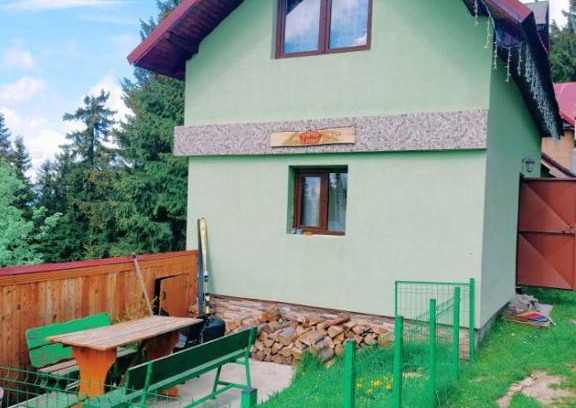 Petrosani House | Cabana Lucas
