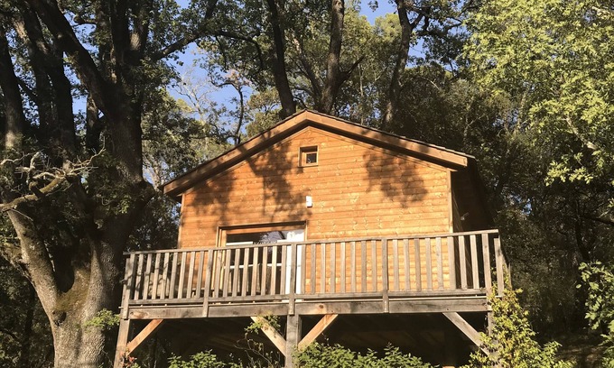 Saint-Antonin-du-Var Cabin | Cabane Dans les Arbres, au Coeur D'un Vignoble Provençal