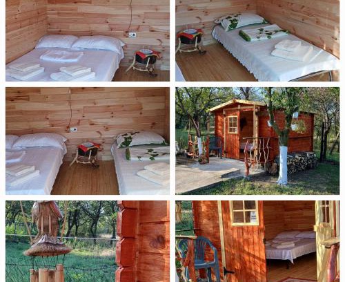 Prahova County Other | CABANE Nadejda SPERANTA
