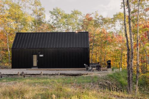 Saint-Aime-du-Lac-des-Iles Ski Chalet | Cabin N2 Le Signal Forest View and Jacuzzi