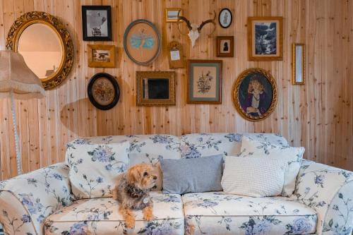 Hunter Apartment | Cabin on Hunter Mtn Seasonal Pool Access w Panoramic Views Hike Swim Fish Recharge