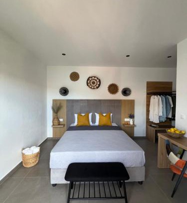 Skiathos Town Apartment | Cactus