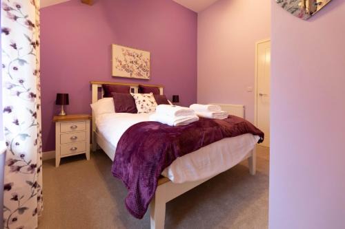 Hendrerwydd House | Caer Fedwen Barns Blodyn Cottage Cosy Self Catering with Private Hot Tub