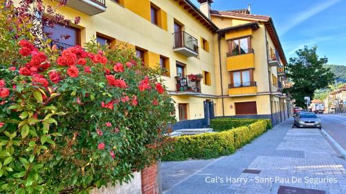 Sant Pau de Seguries Apartment | Cal Harrys - La Mejor Casa de vacaciones en Pyrenees con Vistas a la Montaña