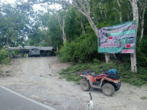 Calakmul Other | Campamento Yaax Che en Calakmul