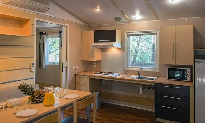 Saint-Maurice-d'Ibie House | Camping Le Sous Bois * - Mobile home IRM 3 rooms 4 people PMR Air-conditioned
