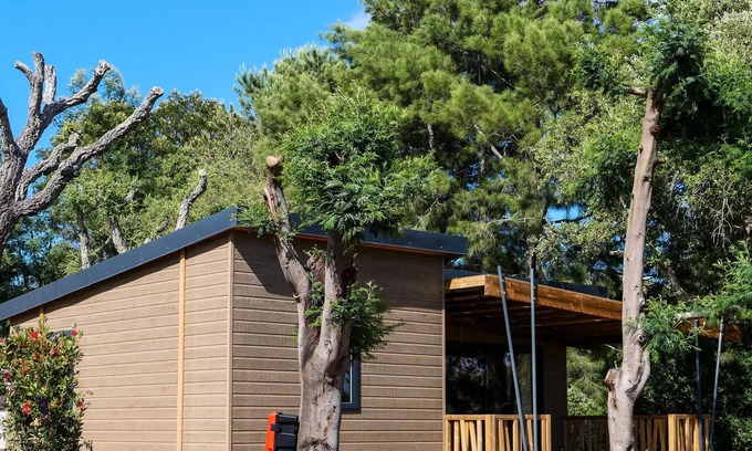 Pinarellu Ski Chalet | Camping U Pinarellu * - EXCLUSIVE RANGE - I Bucòlichi (Sunday/Sunday) - 5 people