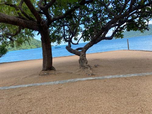 Cape Maclear House | Capricorn Beachfront Cottage