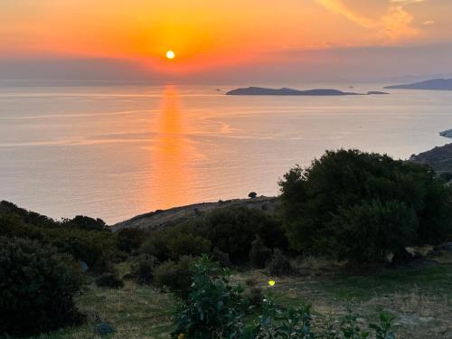 Kato Aprovatou House | Captain's Koutsi Suite
