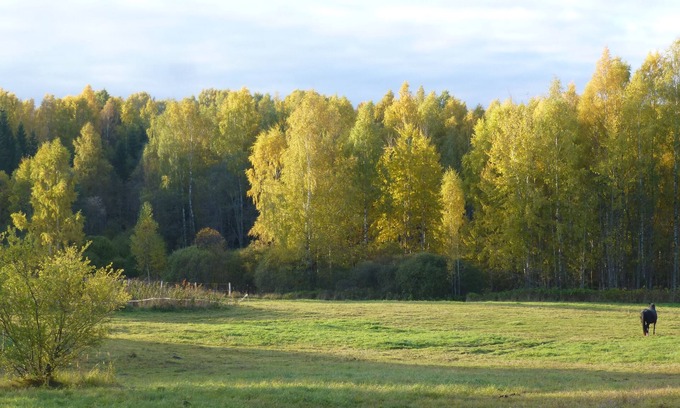 Mikeltornis House | Caravan and campsite in the countryside near the lake and beach
