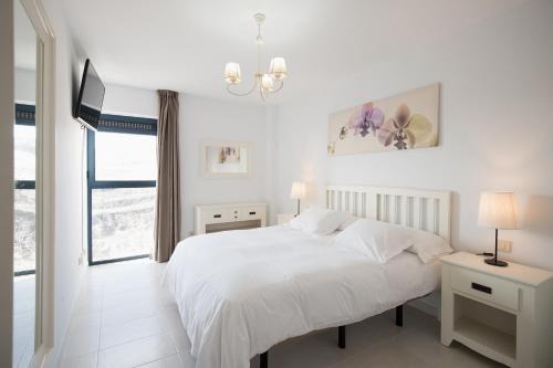 Bahia Calma Apartment | Cardon Big Calm 12