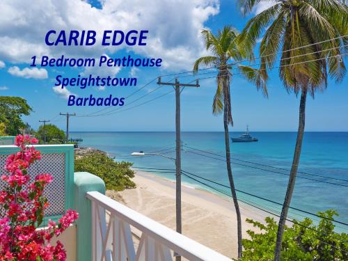 Douglas Apartment | Carib Edge, AC beach penthouse