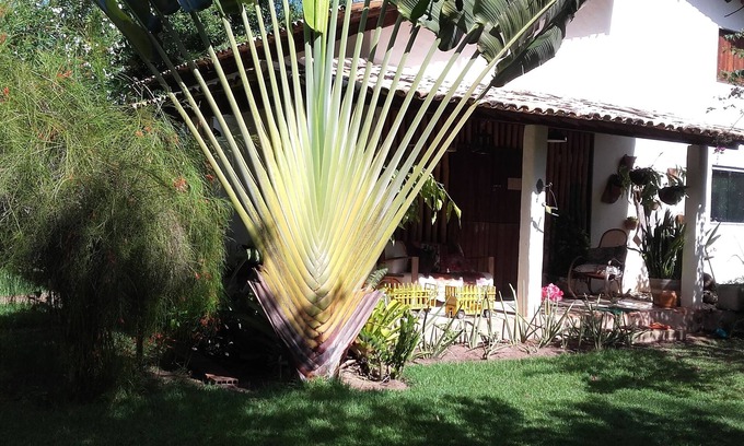 Sao Miguel dos Milagres Ski Chalet | CASA AMORA; well-being in Milagres. Here you and your family will live happy days!