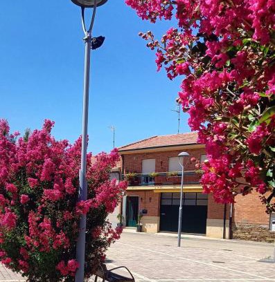 Palacios de la Valduerna House | CASA ABUELA
