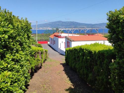 Madalena House | Casa da Ilha