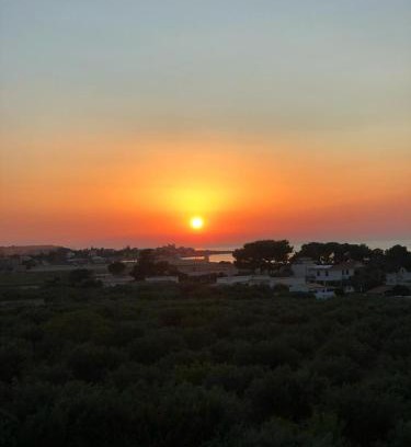 Sant'Andrea Bonagia House | Casa del Nespolo