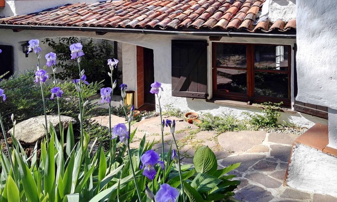 Arolo House | Casa del Pittore by Interhome
