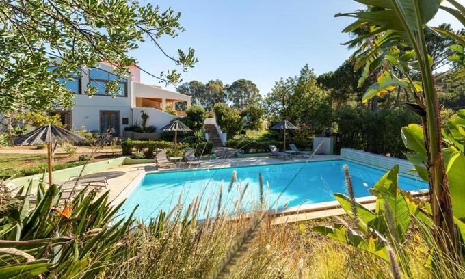 Montes de Cima Bed & Breakfast | Casa do Palmeiral - Hoom B&B