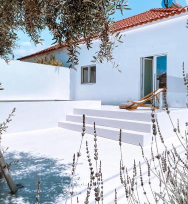 Alcacer do Sal House | Casa do Povo (casa com piscina no centro de Alcácer)
