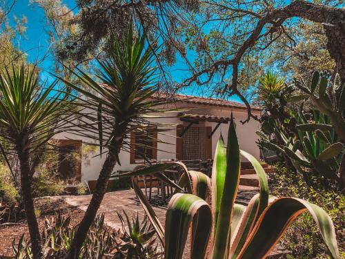 Reliquias House | Casa dos Anoes