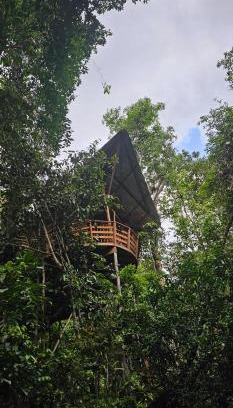 Leticia Apartment | Casa en el Árbol - El Arca
