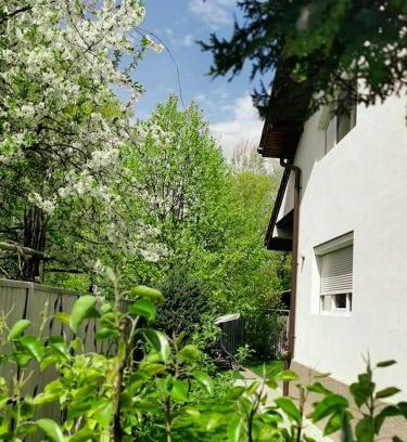 Tirgu Jiu House | Casa File de Poveste