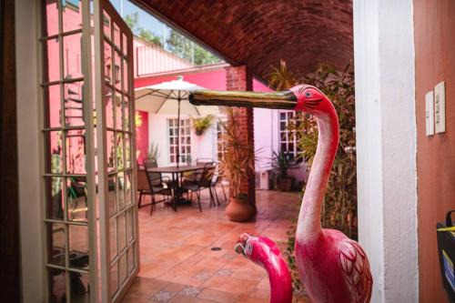 Guadalajara House | Casa Flamingos en el centro de Tlaquepaque