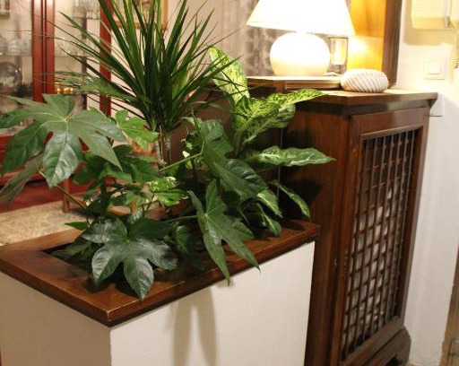 Pagnano Bed & Breakfast | Casa Giò