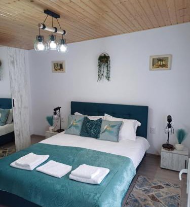 Ocna Mures House | Casa Ioana