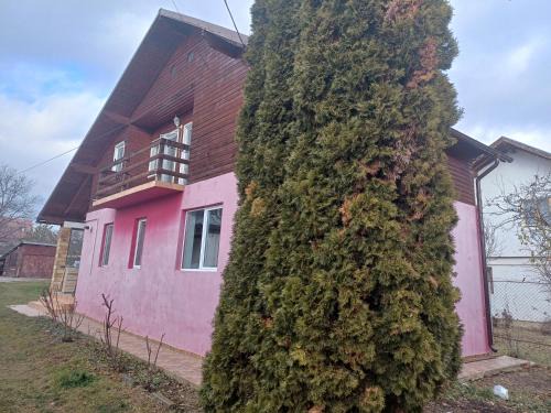 Breaza de Jos House | Casa Laca