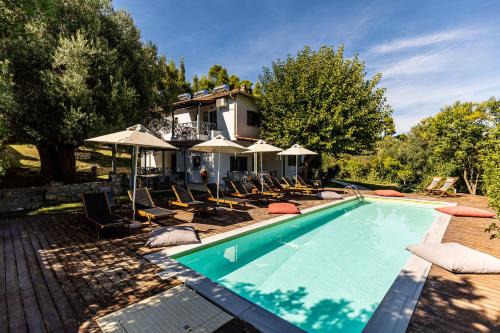 Paliouri Apartment | Casa Luxury Suites