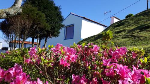 Algarvia House | Casa Miramar