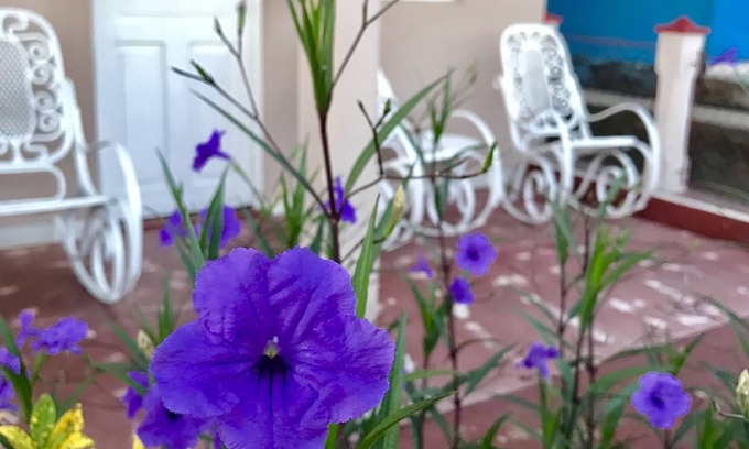 Vinales House | Casa Nieves y David