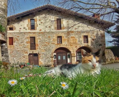Eskoriatza House | Casa Rural Areano