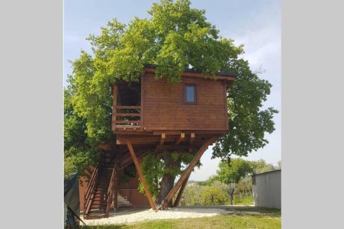 Torino di Sangro Apartment | Casa sull'Albero Treehouse Costa dei Trabocchi