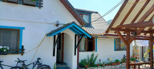 Viseu de Sus House | Casa Toth din Țipțerai