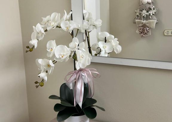 Soci Apartment | Casa vacanze l’orchidea