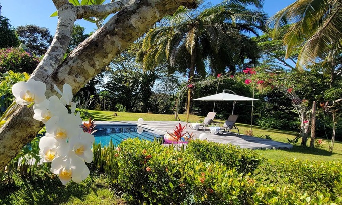 Langostino Villa | Casa Zenn : Beautiful Hill-top Villa