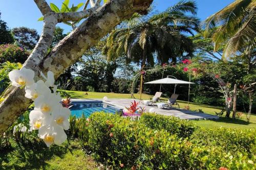 Langostino Villa | Casa Zenn Villa