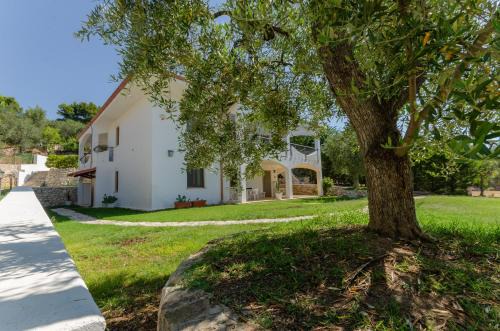 Mattinata Apartment | Case Vacanza Fracarluccio