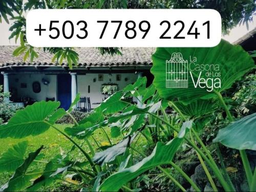Izalco Hotel | Casona los Vega