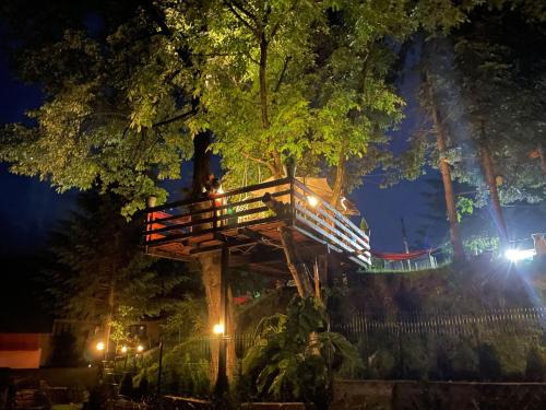 Valea Doftanei House | Casuta dintre brazi - Valea Doftanei - 2 camere
